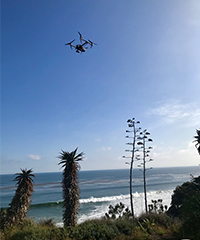 Malibu – Contact img