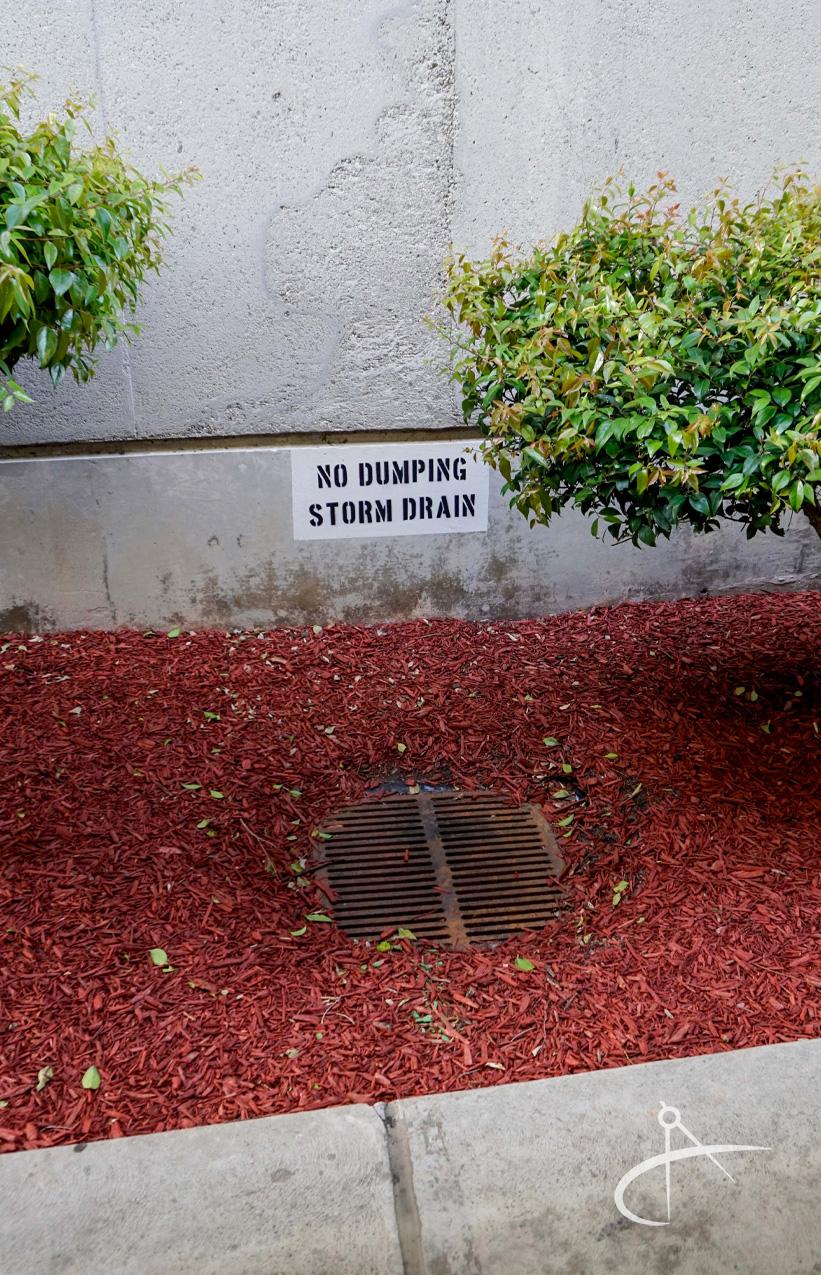 Storm drain inlet at Martin Luther King Jr. Community Hospital. 